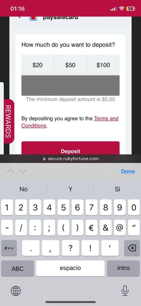 Ruby Fortune Casino payment methods